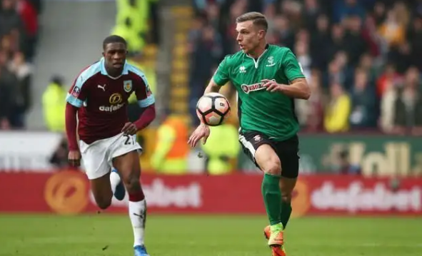 致敬，都柏林动物园将一只极度濒危的鹦鹉取名特洛伊-帕罗特